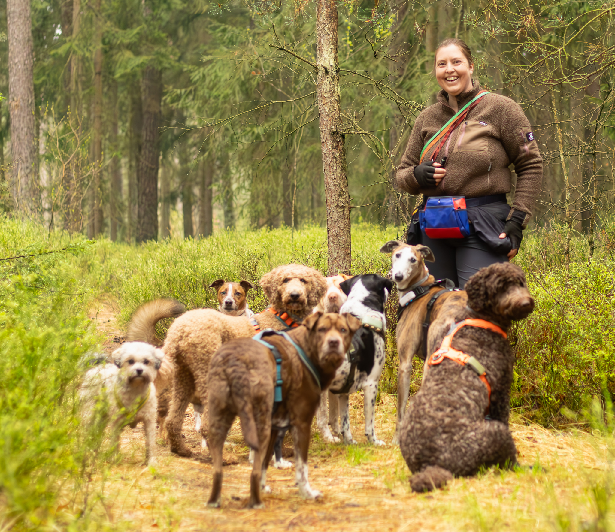 Anne Rosengrün Hundeservice Nürnberg